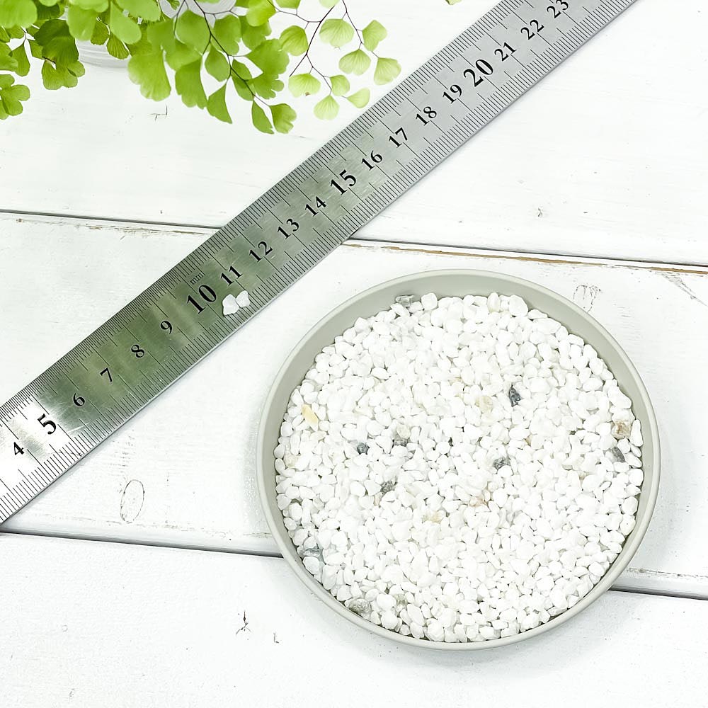 ��������� �����饤�� 1kg JAN4939091700116