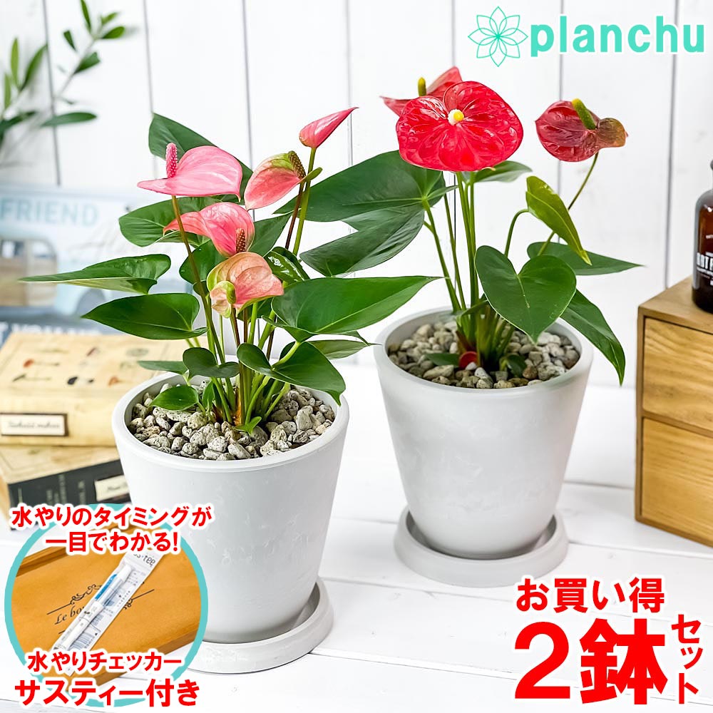 商品画像2