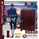 メッシュKingdom L(26)サイズ DL2100-1 グリフィンランド(GRIFFIN LAND) 大型 スーツケース 長期滞在