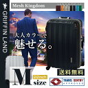 メッシュKingdom M(22)サイズ DL2100-1 グリフィンランド(GRIFFIN LAND) 中型 スーツケース 長期滞在
