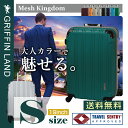 メッシュKingdom S(19)サイズ DL2100-1 グリフィンランド(GRIFFIN LAND) 小型 スーツケース 機内持込可能