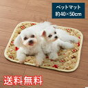 【送料無料】 ふんわり ペットマット エルク 小サイズ 1枚 ベージュ ソフト ふわふわ マット 巣 寝床 ハウス 生活雑貨 日用雑貨 動物 小型 中型 犬 い...