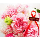 遅れてごめんね母の日 ギフト ピンク 生花アレンジメント mother's day present carnation pink floral arrang...
