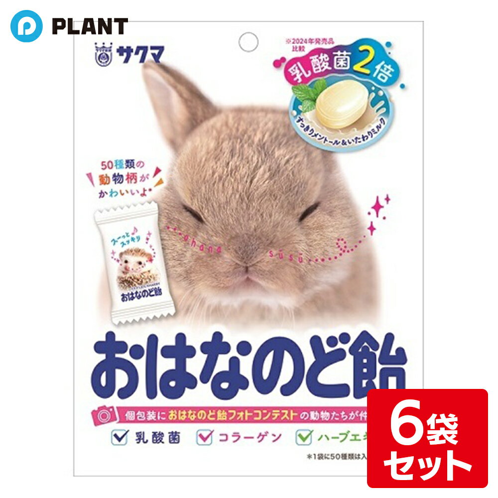 サクマ おはなのど飴 62g 6袋セット