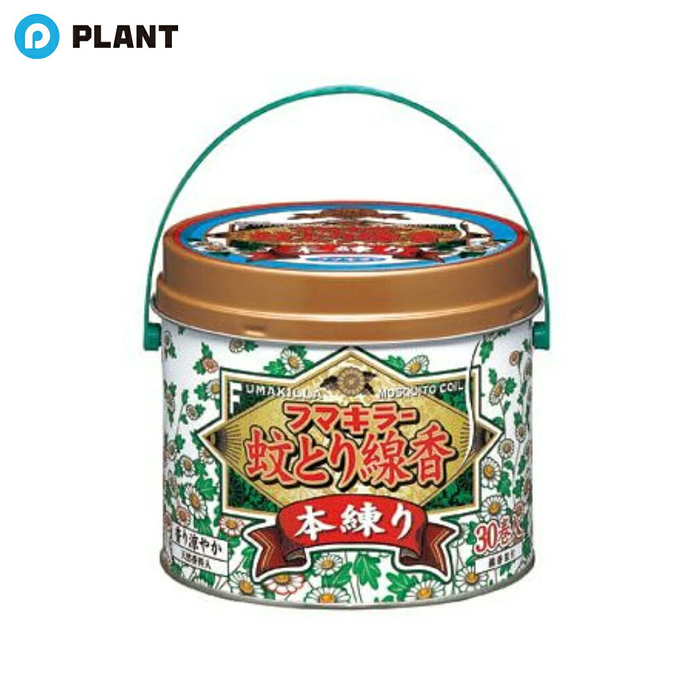 フマキラー 蚊とり線香本練り 30巻