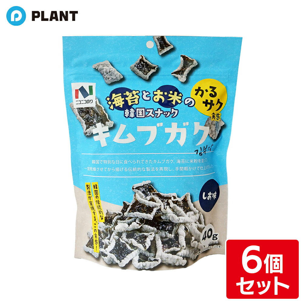キムブガクしお味 40g×6個セット