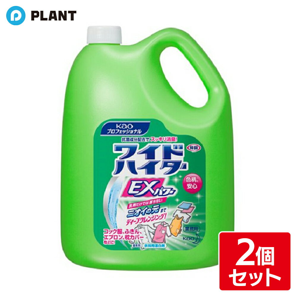 ワイドハイター EXパワー 4.5L 2個セット