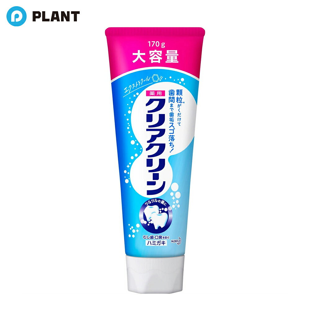 花王 クリアクリーン エクストラクール BIGサイズ 170g