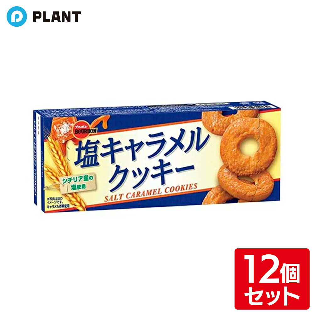塩キャラメルクッキー(9枚入×12個セット)