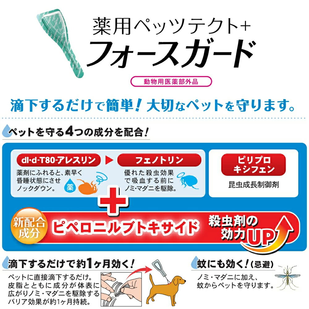 �ɥ����ޥ� ���ѥڥåĥƥ��ȡܥե������������淿����3��