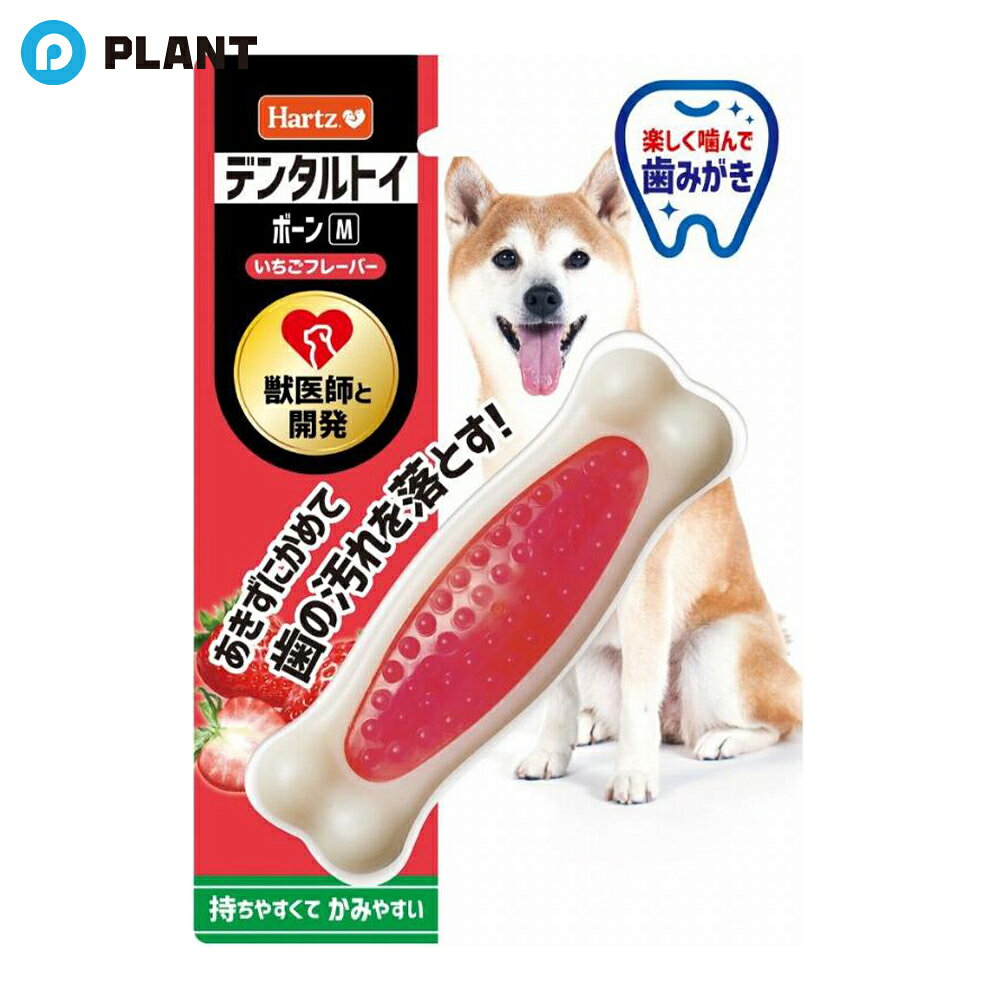 ハーツデンタル M いちごフレーバー