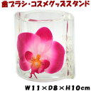 フリースタンド ピンクオーキッド 胡蝶蘭 アクリル 水中花洗面 歯ブラシ立て メイクグッズ ラン 蘭 コスメ サニタリー 小物入れ キッチン おしゃれ 綺麗 花...