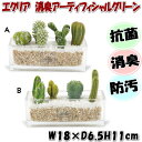 観葉植物（予算3000円以内） 20％OFF セール エクリア 消臭アーティフィシャルグリーン CT触媒加工 緑長方形 ガラスポットボックス付き 人工観葉植物 抗菌 防汚 消臭 マイナスイオン ケース付き ギフト おしゃれ インテリア雑貨 造花 テラリウム フラワー リーフ 葉 ギフト包装無料 キシマ kishima