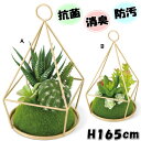 観葉植物（予算3000円以内） 20％OFF セール エクリア 幾何学フレーム 消臭アーティフィシャルグリーン CT触媒加工 緑ボックス付き 人工観葉植物 抗菌 防汚 消臭 マイナスイオン テラリウム ケース付き ギフト おしゃれ インテリア雑貨 造花 フラワー リーフ 葉 ギフト包装無料 キシマ kishima