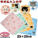 ハンカチ ファミネコ タオルハンカチ 25×25cm ブルー ピンク オレンジ グリーンnoa family チェック 猫フェイス 可愛い 柔らか ソフト タオ...