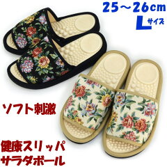 https://thumbnail.image.rakuten.co.jp/@0_mall/plantashop/cabinet/suri/01404940/img60769102.jpg