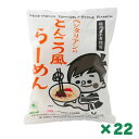 ベジタリアンのとんこつ風ラーメン 106g × 22個セット まとめ買い 桜井食品 恒食 インスタントラーメン 袋麺 乾麺 即席 ラーメン 動物性原材料不使用 植物油 ヘルスケア食品 国産小麦粉 ヴィーガン ビーガン