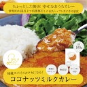 原材料は野菜のみ ココナッツミルクカレー 180g美味しい 野菜 生活 保存料 化学調味料 無添加 動物性原料不使用 ヴィーガン 食品 フード プラントベース グルテンフリー レトルト カレー カリー[大平哲雄 シェフ プロデュース]