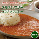 【マラソン限定!50%OFFクーポン】原材料は野菜のみ ココナッツミルクカレー 180g 野菜 無添加 プラントベース ベジタリアン ヴィーガン グルテンフリー...