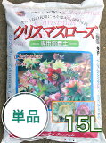 クリスマスローズの苗の育て方　３号ポットでは？植え替えの時期と置き場所