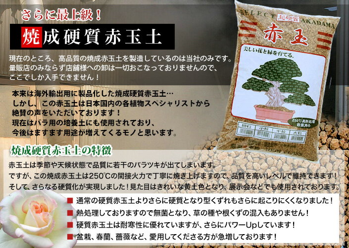 登録商標三本線【焼成・硬質赤玉土 14L/3袋セット】赤玉土 あかだまつち 培養土 めだか 水槽園芸 ガーデニング 花の土 用土 細粒 小粒 中粒 大粒 2