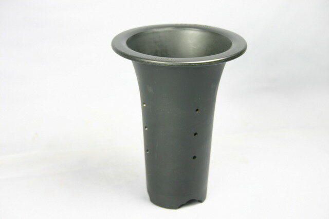 ■春蘭プラ鉢　5号／10個セット (春蘭,寒蘭,日本春蘭）