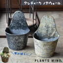 多肉植物 寄せ植え 鉢 器 鉢カバー アンティーク ノア ウォール 観葉植物 ブリキ 北欧 モダン 穴あき 植木鉢 おしゃれ プランター 底穴あり ミニ 3号 ...