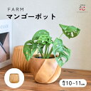 鉢カバー 小さい サイズ 軽い マンゴーポット 3号 北欧 植木鉢 おしゃれ 室内 プランター おすすめ かわいい FARM 底穴無し 観葉植物 木製 インテリ...