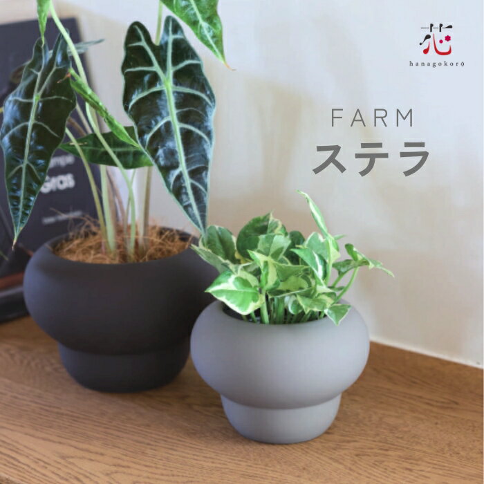 鉢カバー 小さい サイズ 軽い ステラ 3号 4号 北欧 植木鉢 おしゃれ 室内 プランター おすすめ かわいい FARM 底穴無し 観葉植物 木製 インテリア...