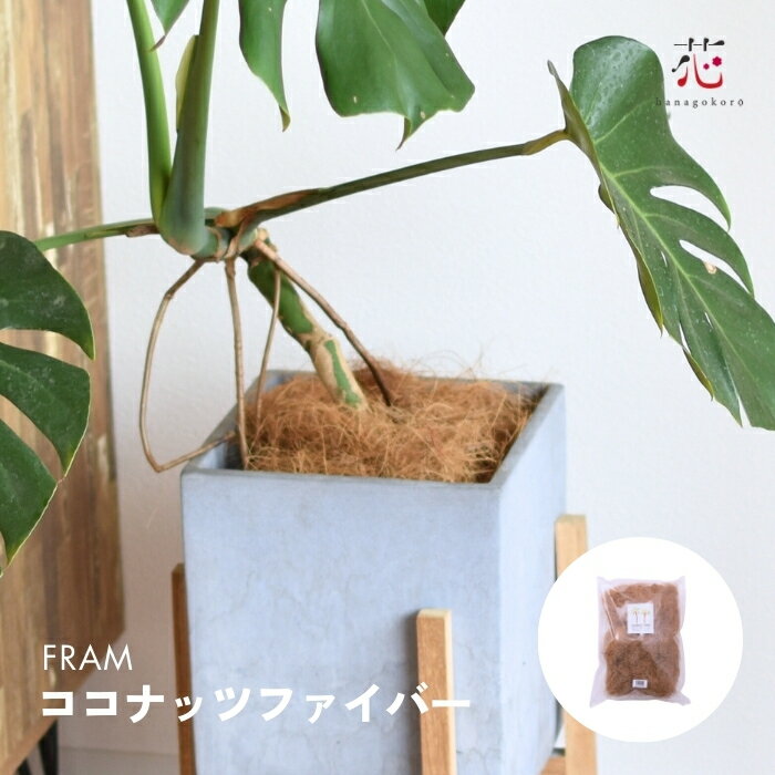 観葉植物 土隠し ココファイバー (50g、100g、500g) ココナッツファイバー 天然 おしゃれ 鉢底石 乾燥防止 雑草対策 園芸 ガーデニング カバース...