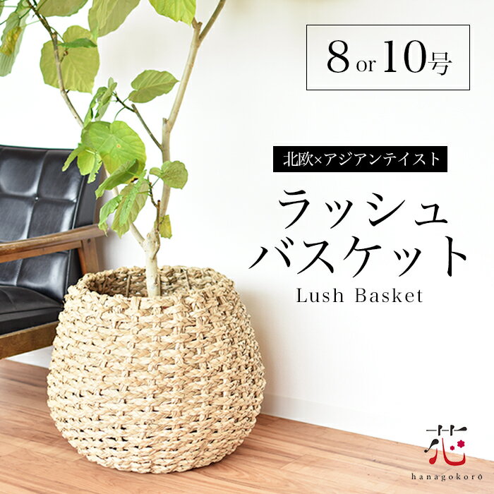 鉢カバー バスケット 北欧 10号 8号 大型 植木鉢 おしゃれ 軽い 鉢カバー ラッシュバスケット 大きい かご プランター LushBasket 鉢植え 観葉植物 送料無料 バスケット プランター 麻 インテリア stem リビング 移転祝い プレゼント