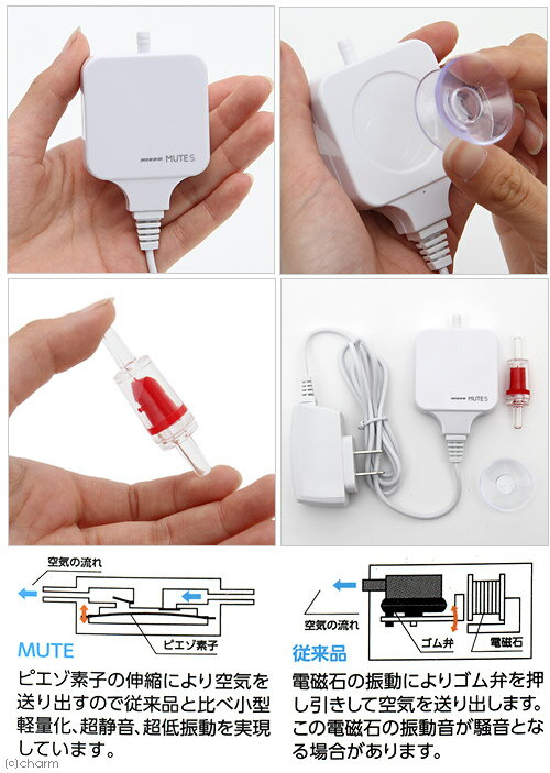 �˥å�����MUTE�ʥߥ塼�ȡ�S���ۥ磻�ȡ��������塼�֡����ȡ��󥻥åȡ��Ų����������ݥ��