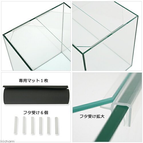 ガラス水槽　エーハイム　EJ−60　60×30×36cm　60cm　単体　メーカー保証期間1年　60cm水槽 3