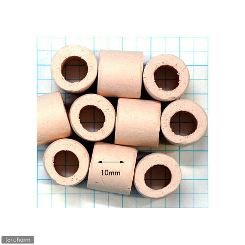 パワーハウス　ベーシック（ハードタイプ）　Lサイズ　淡水・海水両用　5リットル