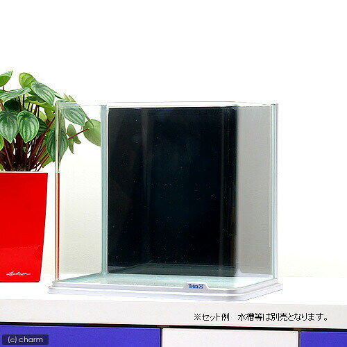 plantstech楽天市場店のRG−30水槽用　丈夫な塩ビ製バックスクリーン　28．3×27．5cm　黒｜アングル2