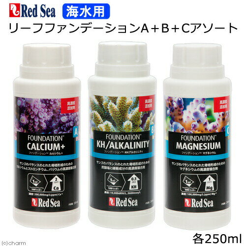 レッドシー　リーフファンデーションA＋B＋Cセット　サンゴ　成長　骨格