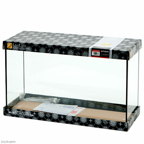 ���ȥ֥����ݡ��쥰�饹��F��600SH��B���֥�å����ꥳ��60cm�����ñ�Ρ�