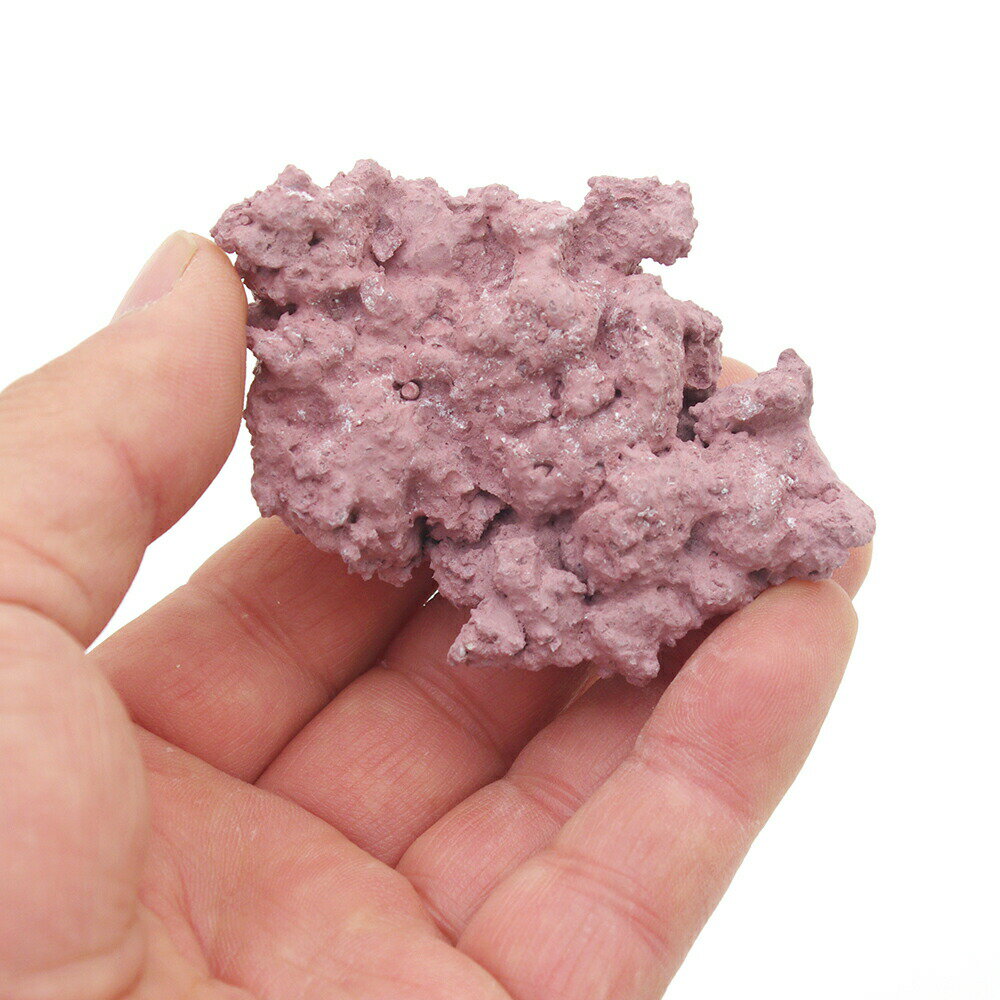 �ޥ�ǥ����󡡥ޥ�饤�֥��å����ޥ��������饤�֥��å���ץꥫ�����󥴡��ե饰