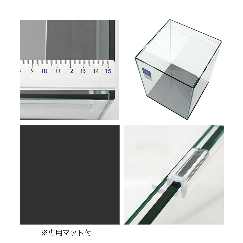 ���ȥ֥����ݡ����饹���塡�쥰�饹�ե�åȡ�F��3040��30��30��40cm�ˡ�30cm���塡��������