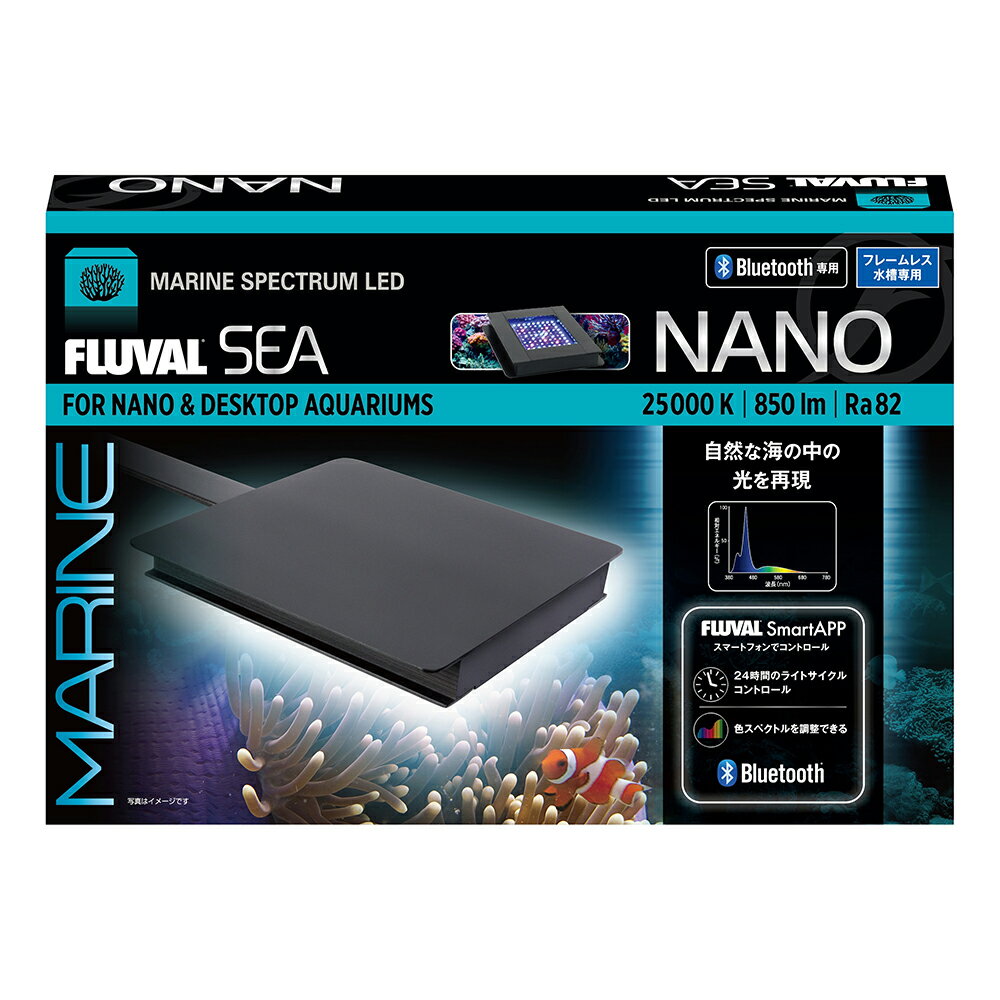 楽天市場】マーフィード nemo light 2の通販 楽天市場】マーフィード nemo light 2の通販