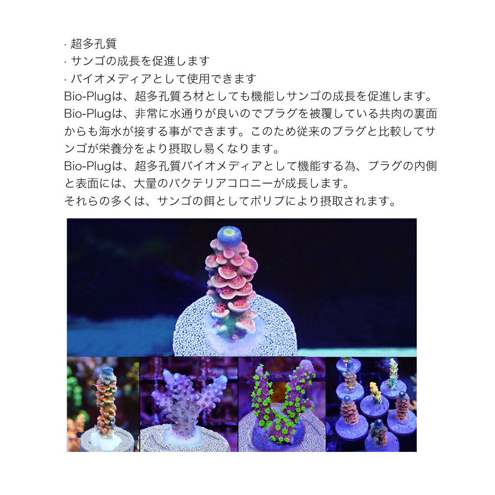 maxspect　Nano−Tech　Bio−Plug　25個