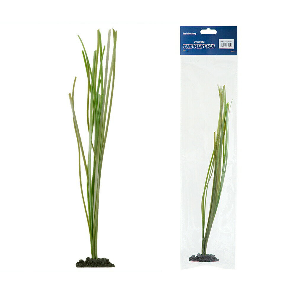 LSS研究所　レプリカサンゴ　グラス　TR−S2　37cm　台付