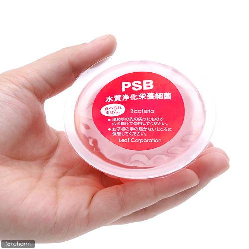 Leaf��PSB������������ܺٶݡ��硡100ml��10�ĥ��åȡ��������ٶݡ�ø���ѡ��Х��ƥꥢ��Ǯ�ӵ����Ѿ޵�