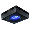 アウトレット品 レッドシー Reef LED 160 サンゴ 成長 色揚げ ~80cm 水槽 ライト 照明 訳あり