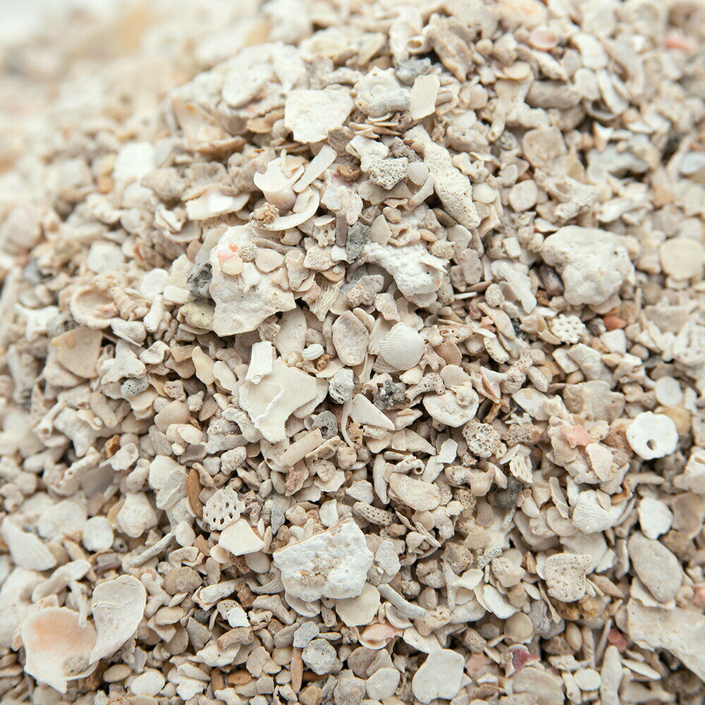 国内洗浄焼成済み C．P．Farm コーラルシェル 1kg（約0．8L） カルシウムリアクター用 海水水槽用底砂