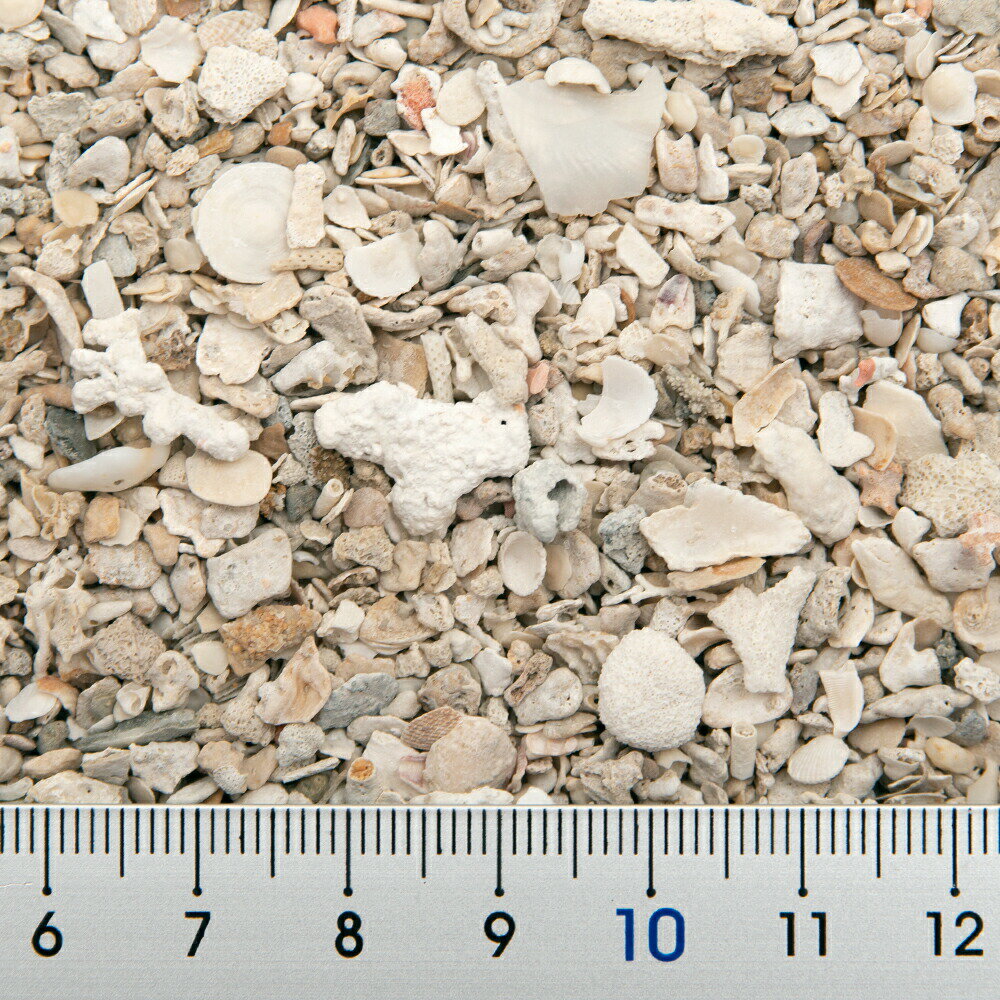 �������������Ѥߡ�C��P��Farm��������륷���롡2kg��1kg��2�ˡ���1��6L�ˡ����륷����ꥢ�������ѡ�����������캽�����ޤ��դ�