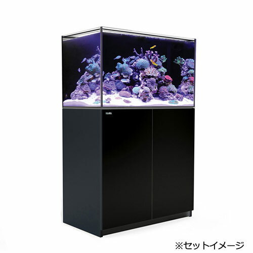 ��Ķ�緿�˥�åɥ�����REEFER��250��G2�ܡ��֥�å����ܽ��͹�����̵����Ʊ���Բġ�����Բġ�600��������3�ĸ�