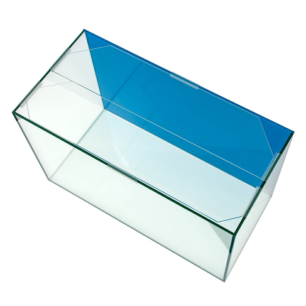 plantstech楽天市場店のバックスクリーン貼付済　エーハイム　EJ−60　60cm水槽　オーシャンブルー（60×30×36cm）（単体）｜アングル2