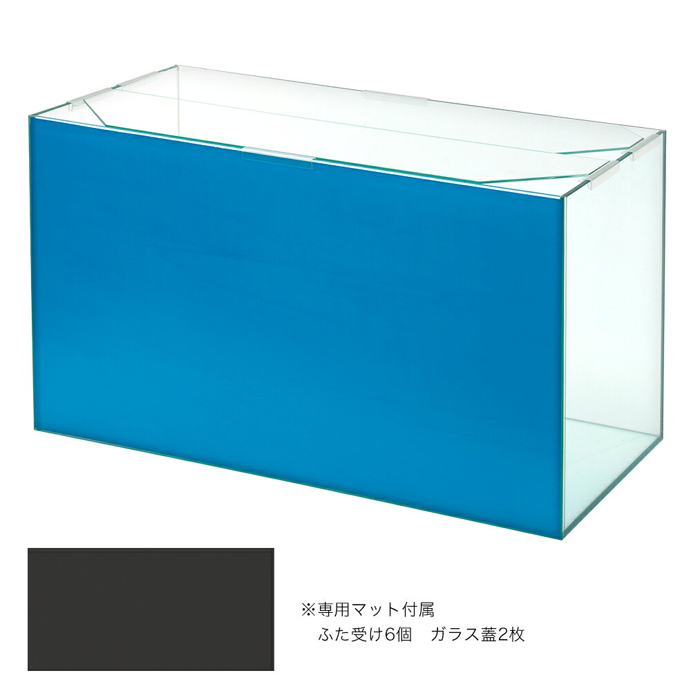 plantstech楽天市場店のバックスクリーン貼付済　エーハイム　EJ−60　60cm水槽　オーシャンブルー（60×30×36cm）（単体）｜アングル3