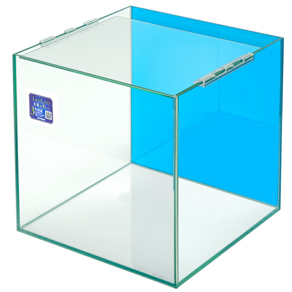 ���ꥹ���륭�塼��300��30��30��30cm�˥Хå������꡼��ʥ��������֥롼��Ž�պѤߡ�30cm���塡�������塡���饹����